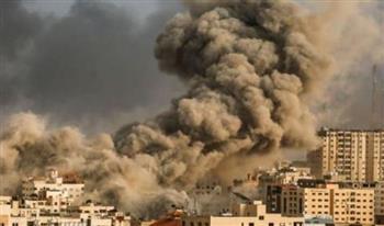 سفير صربيا: نثمن تحركات مصر الدبلوماسية لاحتواء الأزمة في غزة
