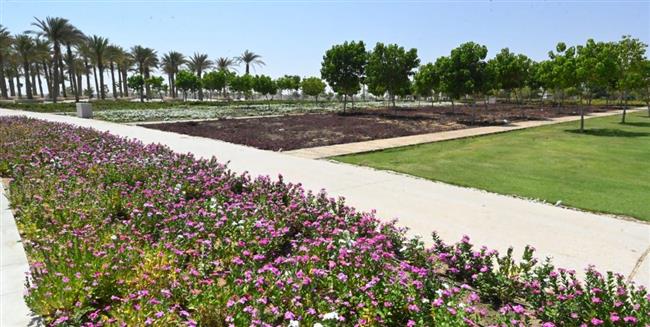 فوز  الحدائق المركزية بالعاصمة الإدارية على جائزة الشرق الأوسط للمناظر الطبيعية  