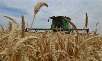   روسيا تفرض قيودا على تصدير القمح لمدة 6 أشهر