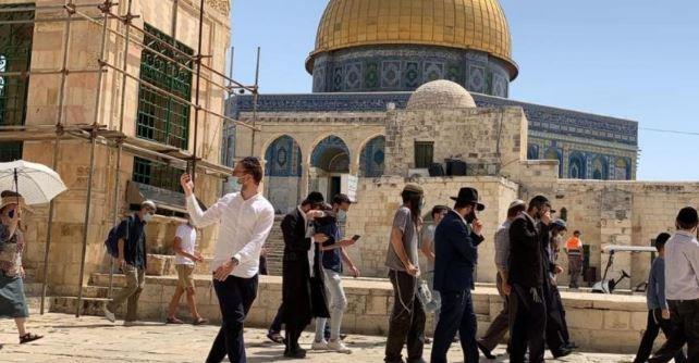 مستوطنون يقتحمون باحات الأقصى بحماية شرطة الاحتلال الإسرائيلي