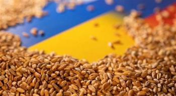   "التموين": قرار روسيا بفرض قيود على صادرات الحبوب لن يؤثر على واردات مصر