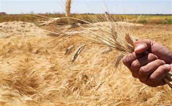   النمسا تتعهد بتقديم 3.8 مليون يورو إضافية لمبادرة الحبوب الأوكرانية