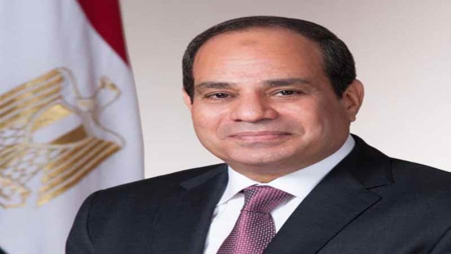 مصريون باريس يشاركون في ندوة لدعم وتأييد المرشح الرئاسي عبدالفتاح السيسي