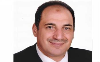   أيمن هيبة: مصر مؤهلة لتكون أكبر مركز لتصدير الطاقة الجديدة والمتجددة