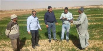 "بحوث الصحراء": قوافل إرشادية لمزراعي القمح بالوادي الجديد 