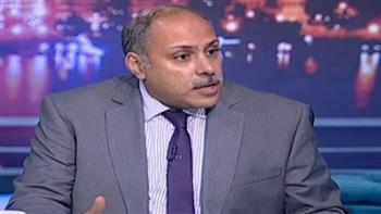 أستاذ علوم سياسية: إسرائيل تجاهلت قرارات مجلس الأمن واستجابت للمفاوض المصري في تطبيق الهدنة 