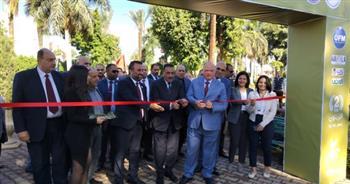 محافظا القاهرة مطروح يفتتحان مهرجان الزيتون المصري