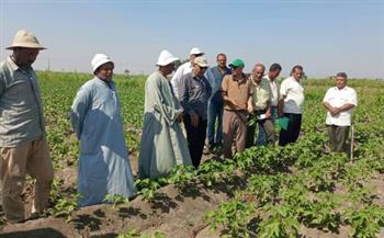   محافظ الإسماعيلية يعلن انضمام مزارعين المحافظة إلى مبادرة "ازرع"