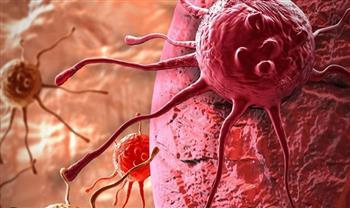 دراسة أمريكية: فيتامين "ب -3" يعزز الخلايا القاتلة الطبيعية لمحاربة سرطان الدم