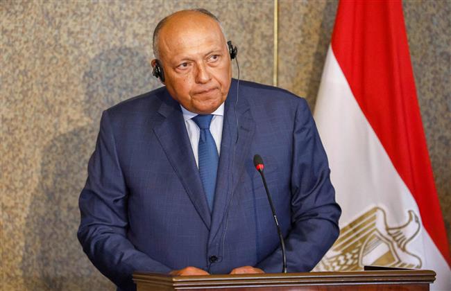 شكرى يلتقى وزير خارجية البرازيل ووزير الدولة البريطانى للشرق الأوسط بنيويورك
