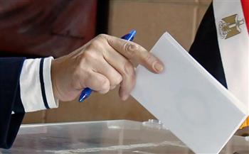  الانتخابات الرئاسية.. المصريون في نيوزيلندا يدلون بأصواتهم خلال ساعات