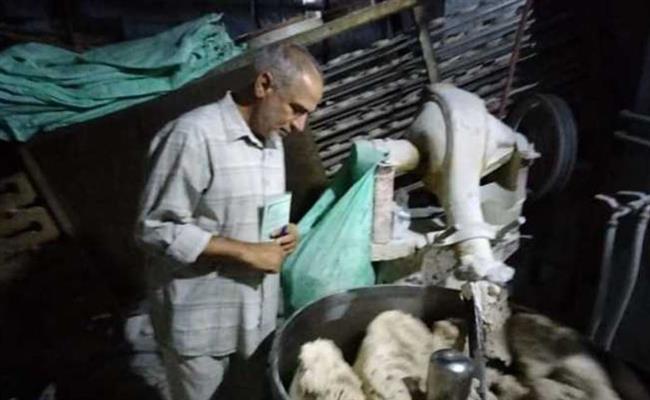 تموين المنيا: ضبط 185 مخالفة متنوعة خلال حملات على المخابز والأسواق