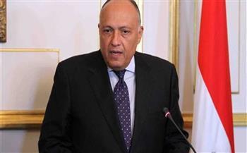 شكري لـ(سي.إن.إن.): نرغب في التوصل لوقف إطلاق النار بغزة وإنهاء الصراع الإسرائيلي الفلسطيني 