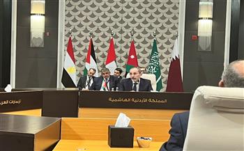   بمشاركة سامح شكري.. بدء اجتماع وزراء خارجية عرب مع "بلينكن" في الأردن