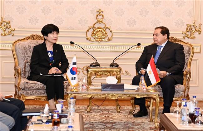 وكيل مجلس النواب يلتقي نائبة رئيس الجمعية الوطنية بـ كوريا الجنوبية