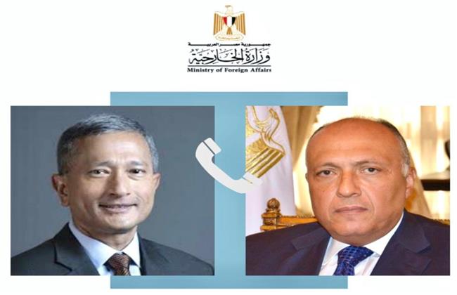 "شكري" يتلقى اتصالين هاتفيين من وزيري خارجية سنغافورة ورومانيا