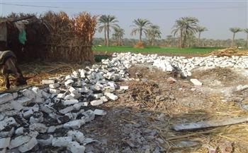   محافظة الجيزة تزيل 12 حالة بناء مخالف وتعدٍ على الأراضي الزراعية بمساحة 4400م2