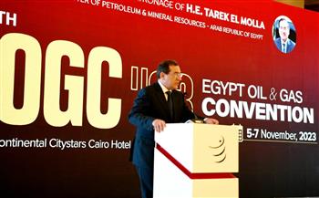   وزير البترول: مستمرون في إتاحة فرص النمو المستدام كمحرك رئيسي للاقتصاد المصري