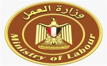   وزارة العمل: فرص جديدة لشباب القاهرة للعمل في قطاع "التمويل متناهي الصغر"