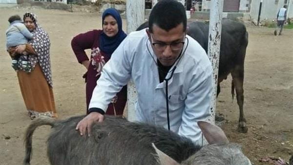 جامعة الزقازيق توجه قافلة بيطرية لقرية كفر أبو الديب بالشرقية