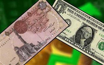   استقرار أسعار صرف الدولار مقابل الجنيه المصري في بداية تعاملات اليوم