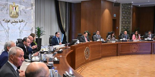 توجيهات حكومية بسرعة الانتهاء من محفزات صناعة السيارات الكهربائية في مصر