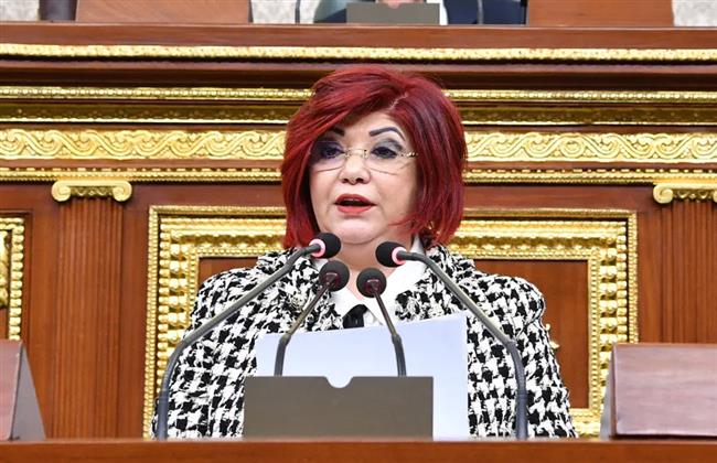 مجلس النواب يكشف مدى تأثر السياحة الأمريكية إثر عدوان الاحتلال على غزة