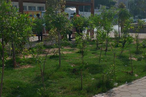 وزير التنمية المحلية يوجه فرق عمل من الوزارة لمتابعة نتائج زراعة 100 مليون شجرة