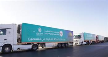   دخول 76 شاحنة مساعدات ومستلزمات طبية إلى غزة عبر معبر رفح اليوم
