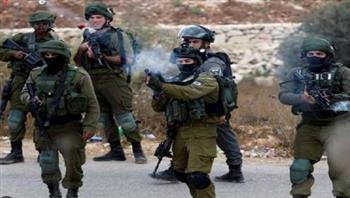 وزراء خارجية العرب: نرفض إعادة احتلال إسرائيل لقطاع غزة ولأية أراضٍ فلسطينية أخرى