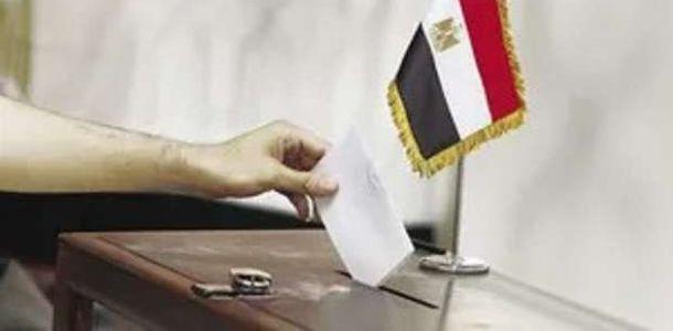 سفيرة مصر في فيتنام: توافد كبير على لجان الانتخابات بعد انتهاء ساعات العمل