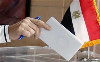 مدير المرصد المصري: مشهد الحشد لـ الانتخابات الرئاسية 2024 مختلف على الدولة