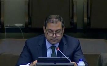 تعيين سرهاد فتح نائبة لرئيس بعثة مكتب المبعوث الخاص للأمين العام إلى اليمن