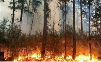   استراليا: إندلاع أكثر من 50 حريقا جراء ارتفاع درجات الحرارة بالبلاد