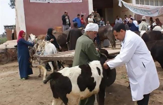 "بيطري الوادي الجديد": إضافة 6 وحدات للتلقيح الصناعي للثروة الحيوانية بالفرافرة