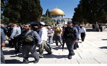 مُستوطنون يقتحمون الأقصى.. والاحتلال يعتقل 32 فلسطينيًا من الضفة الغربية