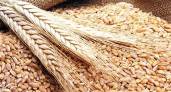   "السلع التموينية" تعلن عن ممارسة لشراء القمح المستورد من المناشئ المدرجة