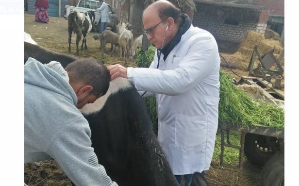 جامعة الزقازيق توجه قافلة بيطرية لقرية المحمودية بالشرقية
