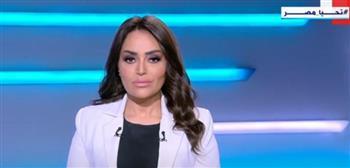 رئيس حزب إرادة جيل: انتخابات الرئاسة كانت خير دليل على الديمقراطية فى مصر