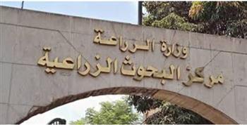 ​"البحوث الزراعية" يحصد المركز الأول في تصنيف "سيماجو"