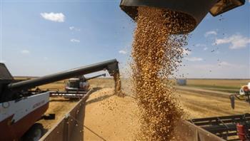 أوكرانيا تعلن حصاد نحو 77 مليون طن من الحبوب والبذور الزيتية