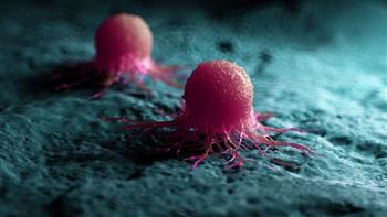   دراسة تكشف: فاعلية " المطارق الجزيئية " لتدمير غشاء الخلايا السرطانية