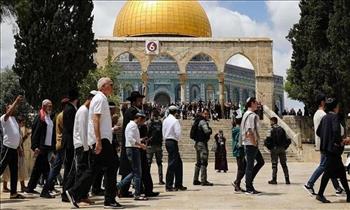   مستوطنون يقتحمون المسجد الأقصى بحماية شرطة الاحتلال الإسرائيلي