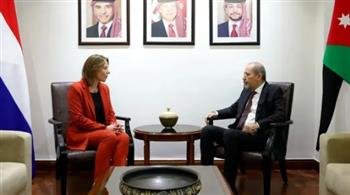   وزير خارجية الأردن يحذر من فشل مجلس الأمن في تبني قرار حول غزة