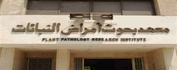 بحوث أمراض النبات يحصل جائزتين من اتحاد الجامعات العربية