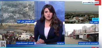 عضو لجنة الدفاع عن الأراضي الفلسطينية: الغرب يكيل بمكيالين وإسرائيل لم ولن تحقق إنجاز