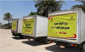 الأوقاف: توزيع 11 طن لحوم إطعام على الأسر الأولى بالرعاية غدا