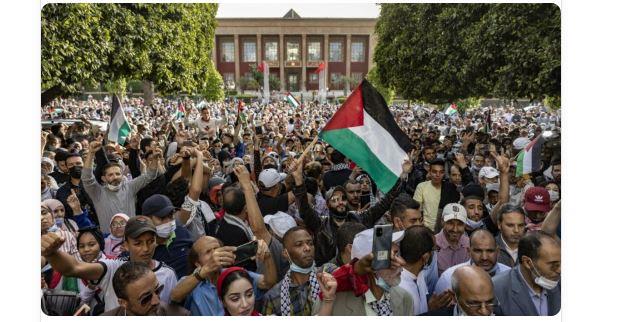 الهيئة الدولية لدعم الشعب الفلسطيني: المدنيون في غزة يتعرضون لجرائم إبادة جماعية