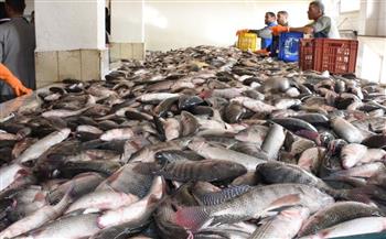   أسعار الأسماك تسجل مفاجأة اليوم 
