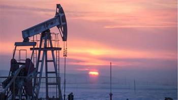   قطاع البترول .. سلسلة متواصلة من النجاحات رغم التحديات العالمية